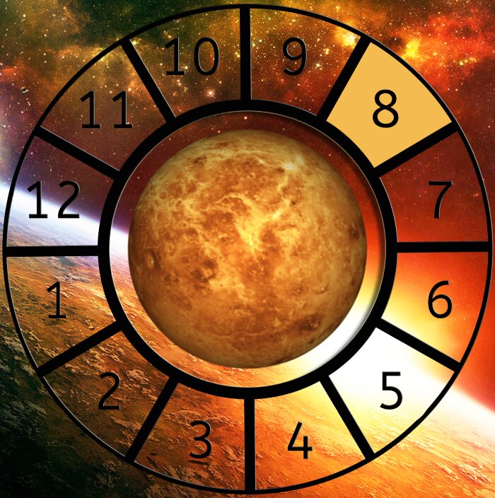Venus shown within a Astrological House wheel highlighting the 8th House